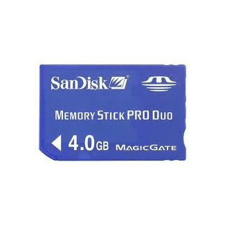 Memory Stick Sandisk 4GB + Homebrew